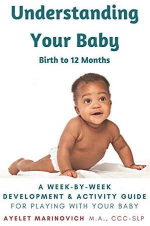 Understanding Your Baby: A WeekByWeek Development & Activity Guide For Playing With Your Baby From Birth to 12 Months,Used