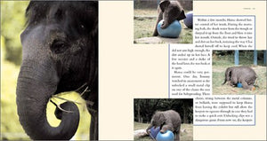 Hansa: The True Story of an Asian Elephant Baby,Used