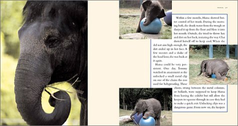 Hansa: The True Story of an Asian Elephant Baby,Used