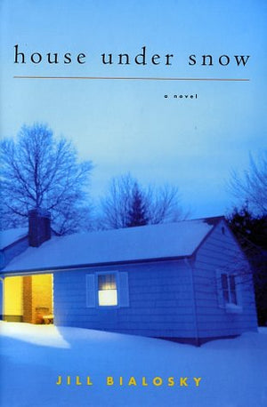 House Under Snow,Used