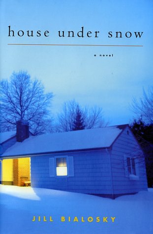 House Under Snow,Used