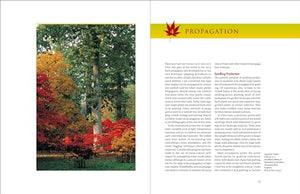 Timber Press Japanese Maples: Complete Guide to Selection and Cultivation, 4th Edition