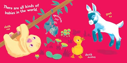 Indestructibles: Baby Animals: Chew Proof ? Rip Proof ? Nontoxic ? 100% Washable (Book for Babies, Newborn Books, Safe to Chew),Used