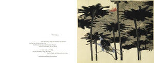 Hannah Hch: Picture Book,Used