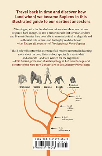 A Pocket History of Human Evolution: How We Became Sapiens,Used