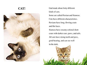 Cats, Dogs, Hamsters, and Horses: Level 2 (I Can Read! / Made By God),Used