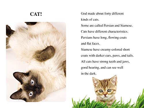 Cats, Dogs, Hamsters, and Horses: Level 2 (I Can Read! / Made By God),Used