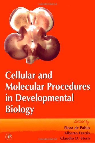 Cellular and Molecular Procedures in Developmental Biology (Volume 36) (Current Topics in Developmental Biology, Volume 36),Used