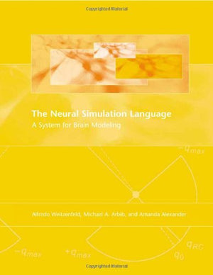 The Neural Simulation Language: A System For Brain Modeling