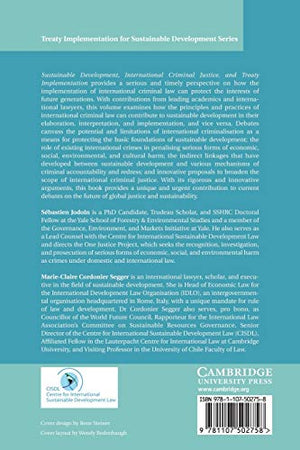 Sustainable Development, International Criminal Justice, and Treaty Implementation (Treaty Implementation for Sustainable Develo,Used