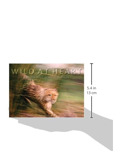 Wild at Heart: Man and Beast in Southern Africa,Used