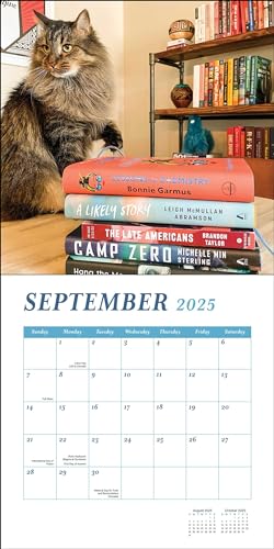 Cats & Books 2025 Wall Calendar,Used