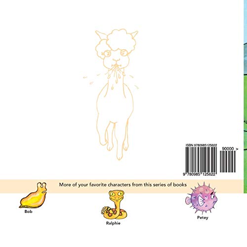 Say It Don't Spray It (Sensitive Solutions Early Learners Social Emotional Series),Used
