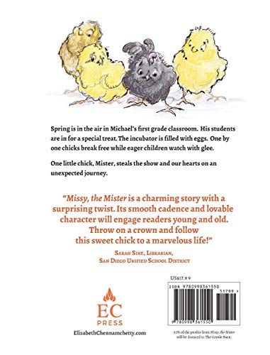 Missy, the Mister: One Chick's Journey to Living a Marvelous Life,Used