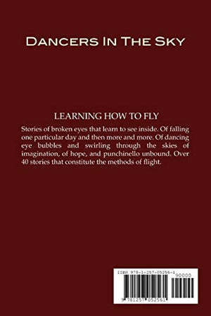 DANCERS IN THE SKY,Used