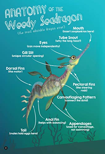 Squidtoons: Exploring Ocean Science with Comics,Used