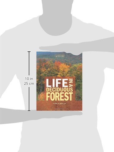 Life in a Deciduous Forest (Ecosystems in Action),Used