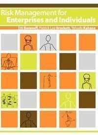 Risk Management for Enterprises and Individuals (B&W),Used