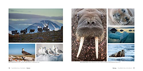 Top Wildlife Sites Of The World,Used