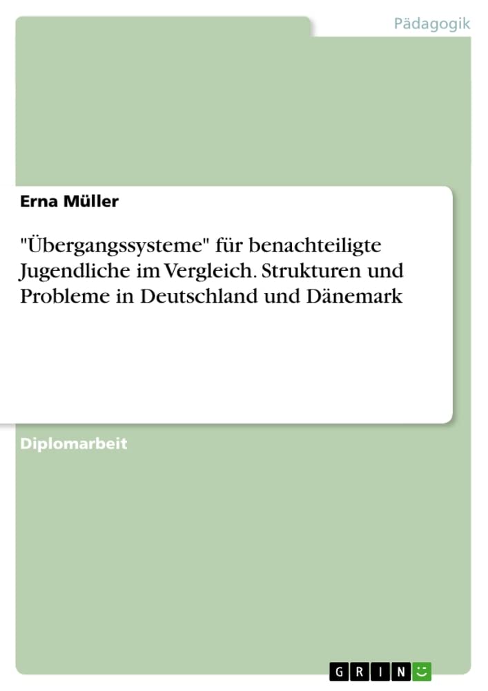 bergangssysteme' fr benachteiligte Jugendliche im Vergleich. Strukturen und Probleme in Deutschland und Dnemark (German Edition,Used
