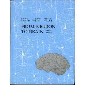 From Neuron To Brain A Cellular And Molecular Approach To The Function Of The Nervous System,Used