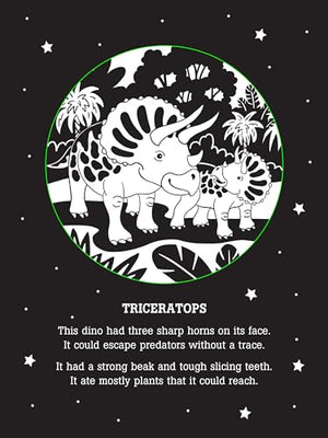 Dinos After Dark Bedtime Shadow Book,Used