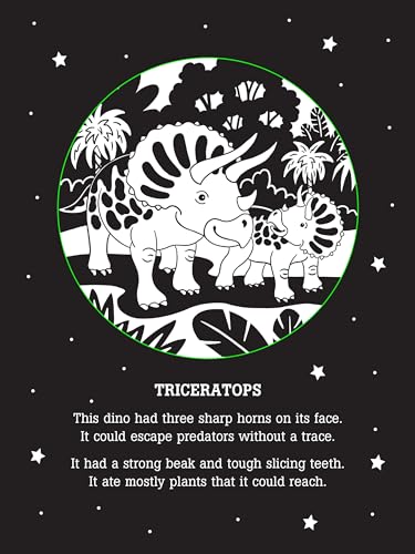 Dinos After Dark Bedtime Shadow Book,Used