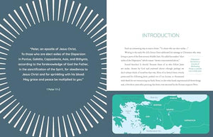 God's Goodness for the Chosen: An Interactive Bible Study Season 4 (Volume 4),Used