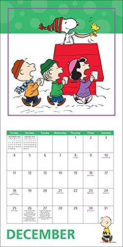 Peanuts 2022 Wall Calendar,Used