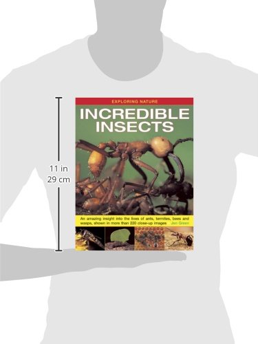 Exploring Nature: Incredible Insects: An Amazing Insight Into the Lives of Ants, Termites, Bees and Wasps, Shown in More Than 22,Used