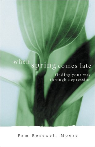 When Spring Comes Late: Finding Your Way Through Depression,Used