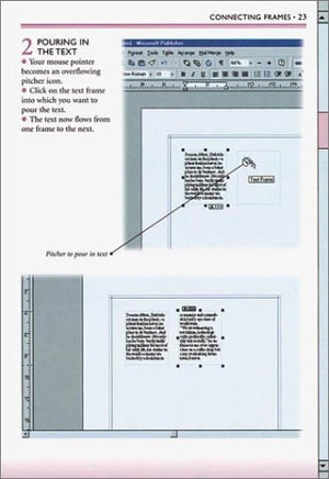 Essential Computers: Desktop Publishing,Used