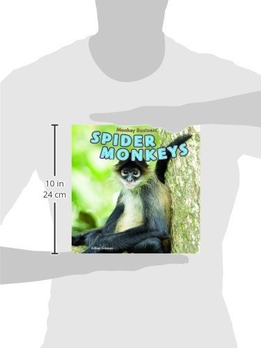 Spider Monkeys (Monkey Business),Used
