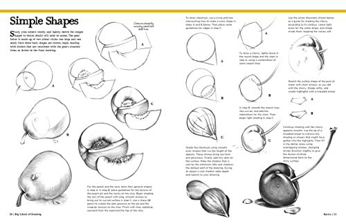 Big School Of Drawing: Wellexplained, Practiceoriented Drawing Instruction For The Beginning Artist (Big School Of Drawing, 1)-new