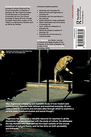 Everyday Life and Cultural Theory,Used