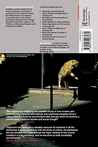 Everyday Life and Cultural Theory,Used