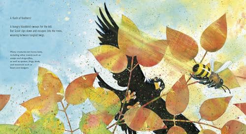 Flight Of The Honey Bee: Read And Wonder