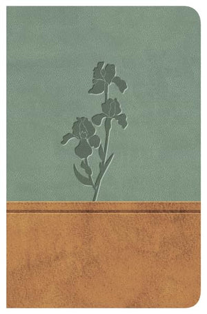 Biblia Clsica Edicin Especial: Duo Tono Pardomenta (Spanish Edition),New
