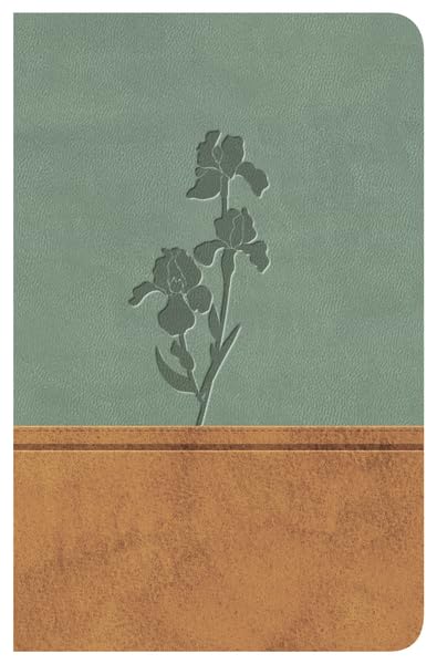 Biblia Clsica Edicin Especial: Duo Tono Pardomenta (Spanish Edition),New