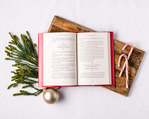 Because of Bethlehem: Love Is Born, Hope Is Here,Used