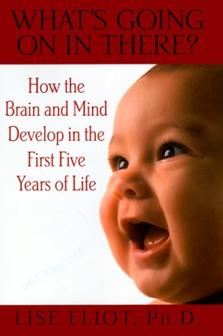 What's Going on in There?: How the Brain and Mind Develop in the First Five Years of Life,Used