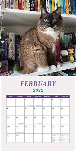 Cats & Books 2022 Wall Calendar,New