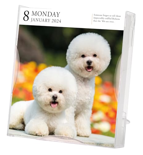 Dog Pageaday Gallery Calendar 2024: An Elegant Canine Celebration