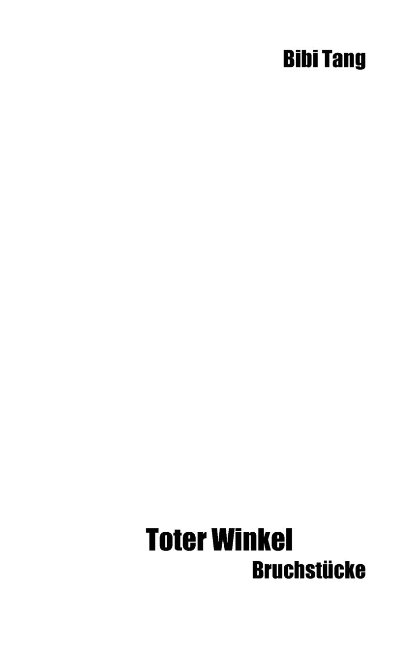 Toter Winkel: Bruchstcke (German Edition),Used