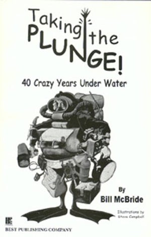 Taking the Plunge!,Used