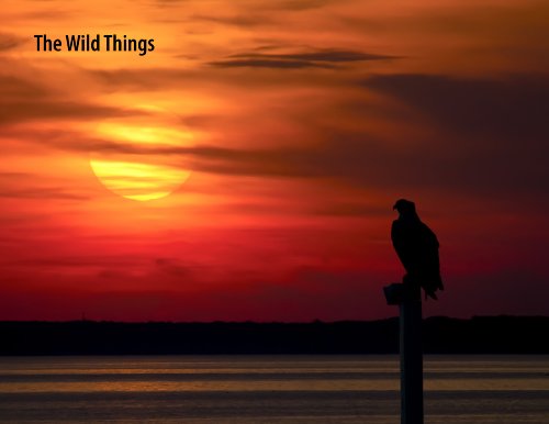 Chesapeake Views,Used