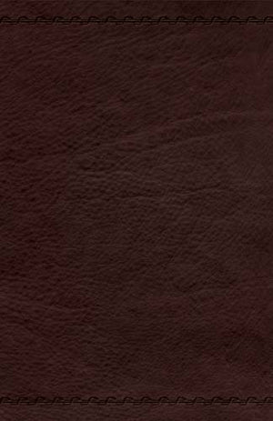 Jesus Calling Devotional Bible: New King James Version, Espresso Leathersoft
