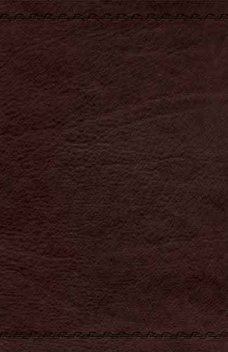 Jesus Calling Devotional Bible: New King James Version, Espresso Leathersoft