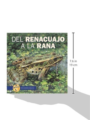 Del Renaucajo a La Rana/from Tadpole to Frog (De Principio a Fin/start to Finish) (Spanish Edition),Used