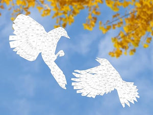 Paint by Sticker: Birds: Create 12 Stunning Images One Sticker at a Time!,Used